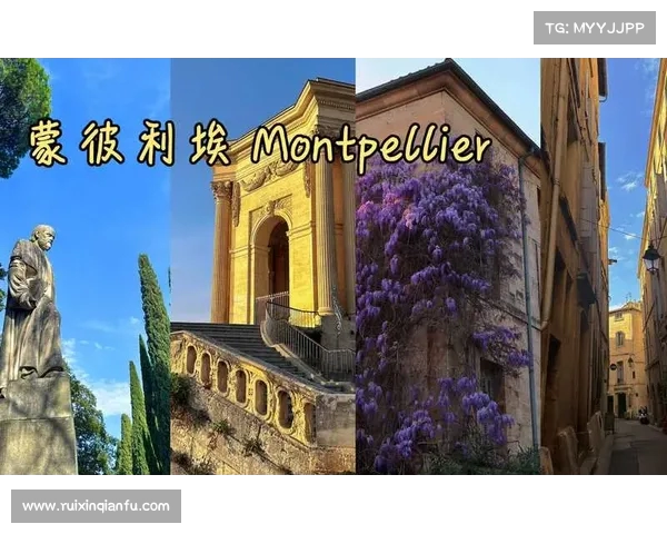 以蒙彼利埃为中心探索南法文化风情与历史遗产的独特魅力 以蒙彼利埃为中心探索南法文化风情与历史遗产的独特魅力